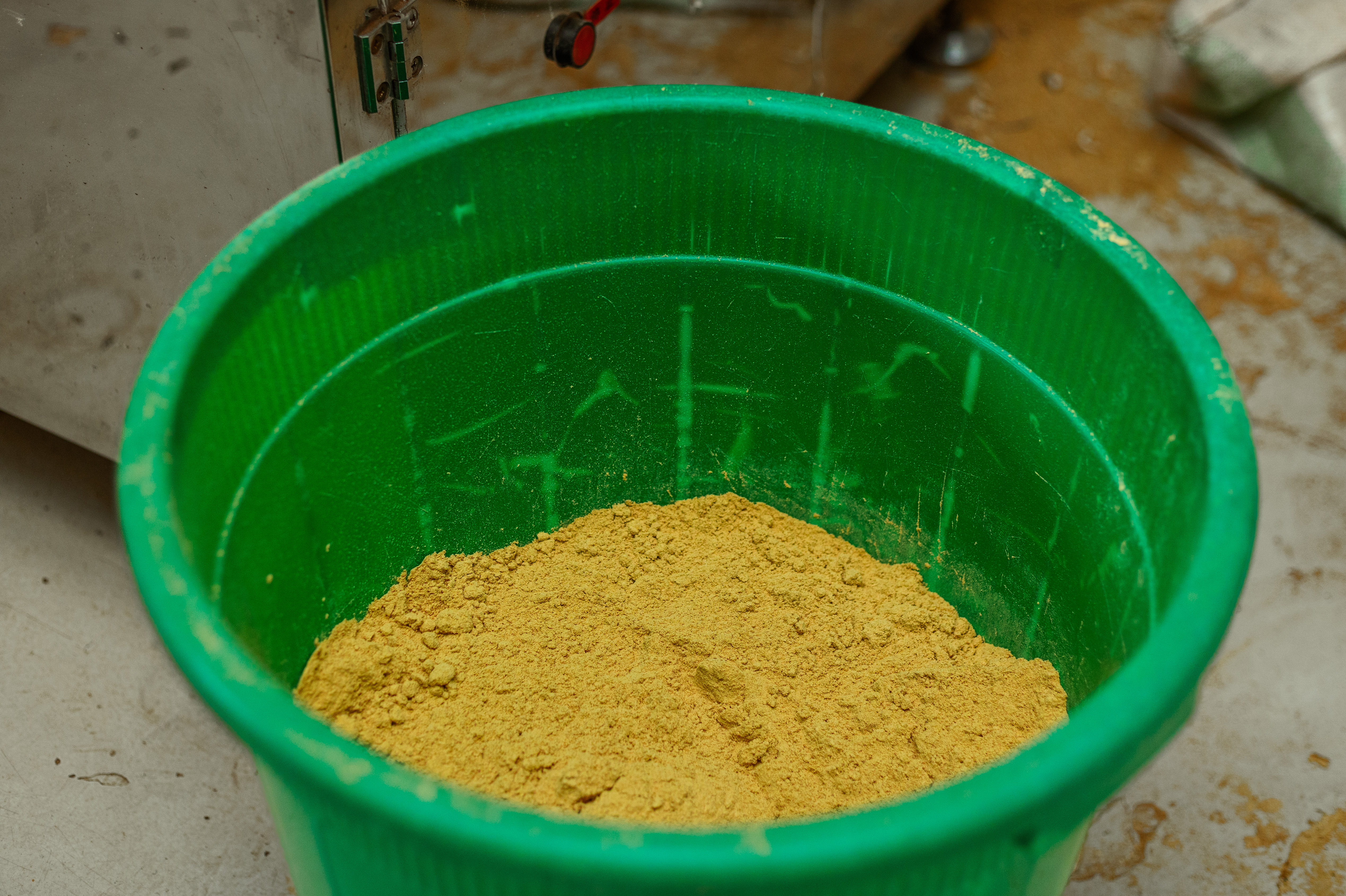 Freshly milled ginger powder in a clean green container