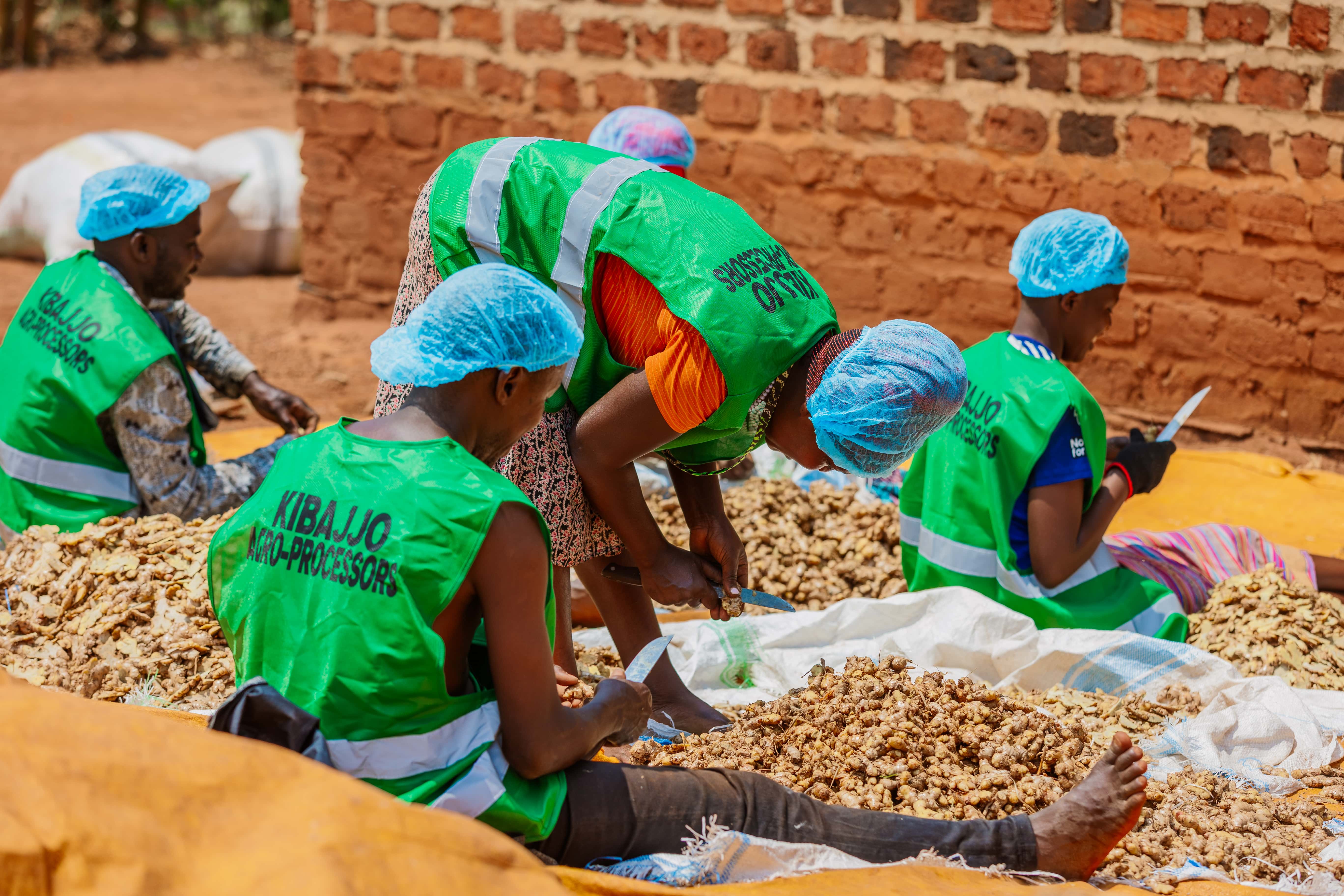 Kibajjo Ginger Powder - Production Facility